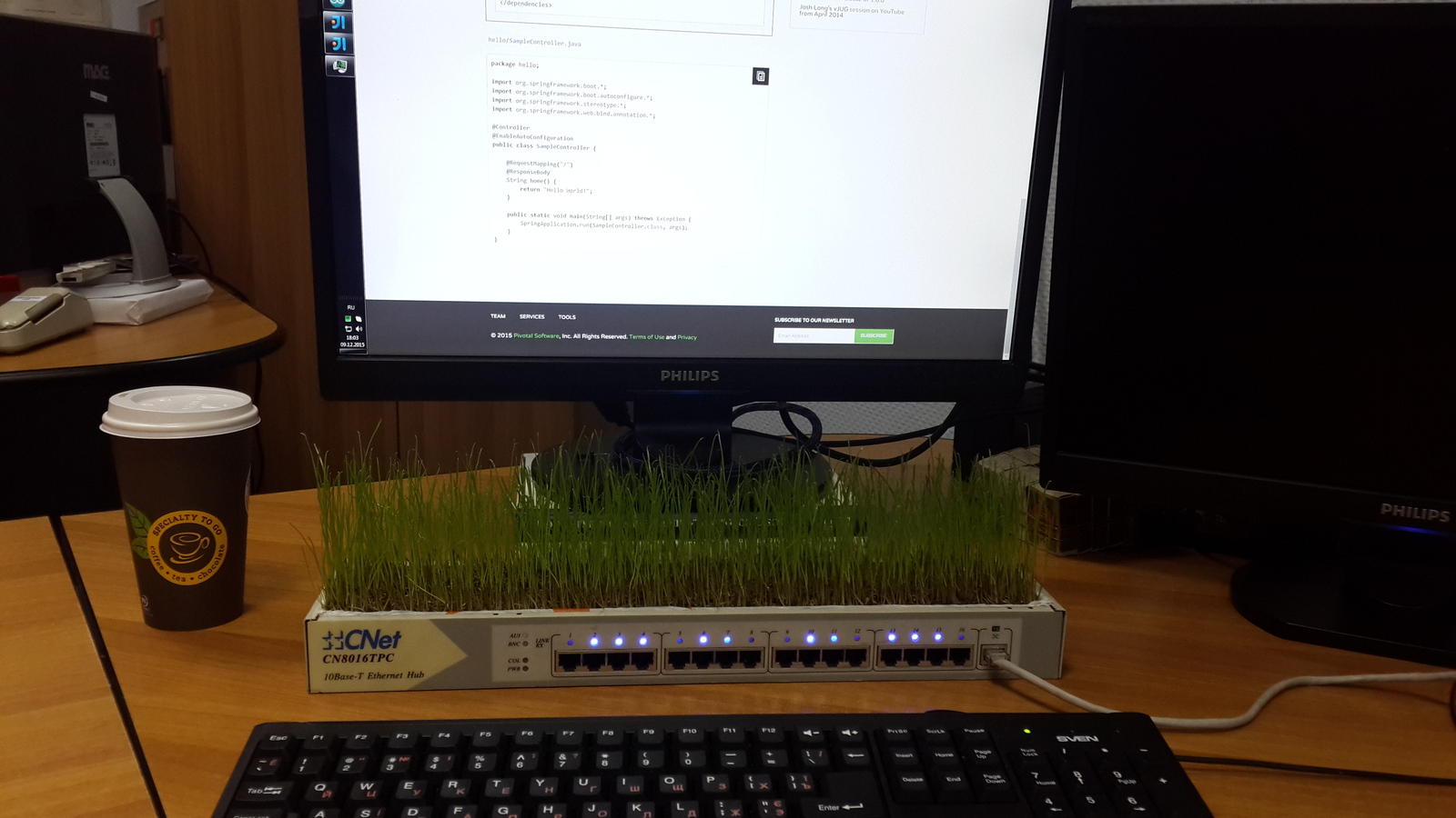 Green ethernet switch - My, Grass, Ethernet, Hub, Nintendo switch, With your own hands, Longpost