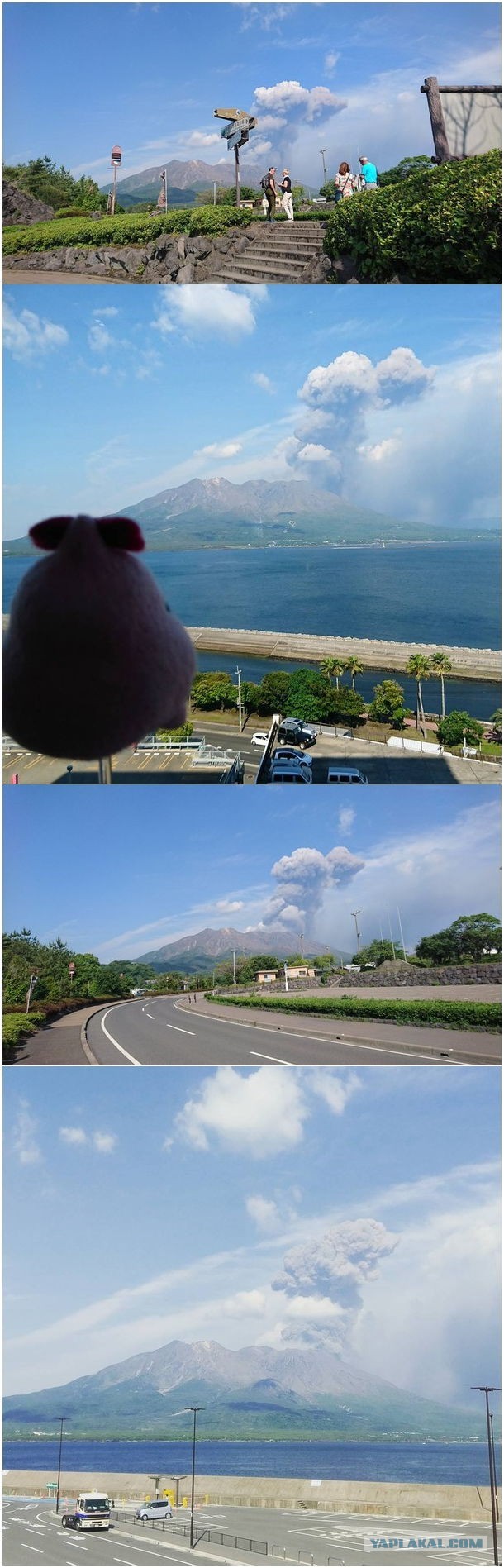 Ring of Fire activation? - , Volcano, Fire, Longpost, Sakurajima Volcano