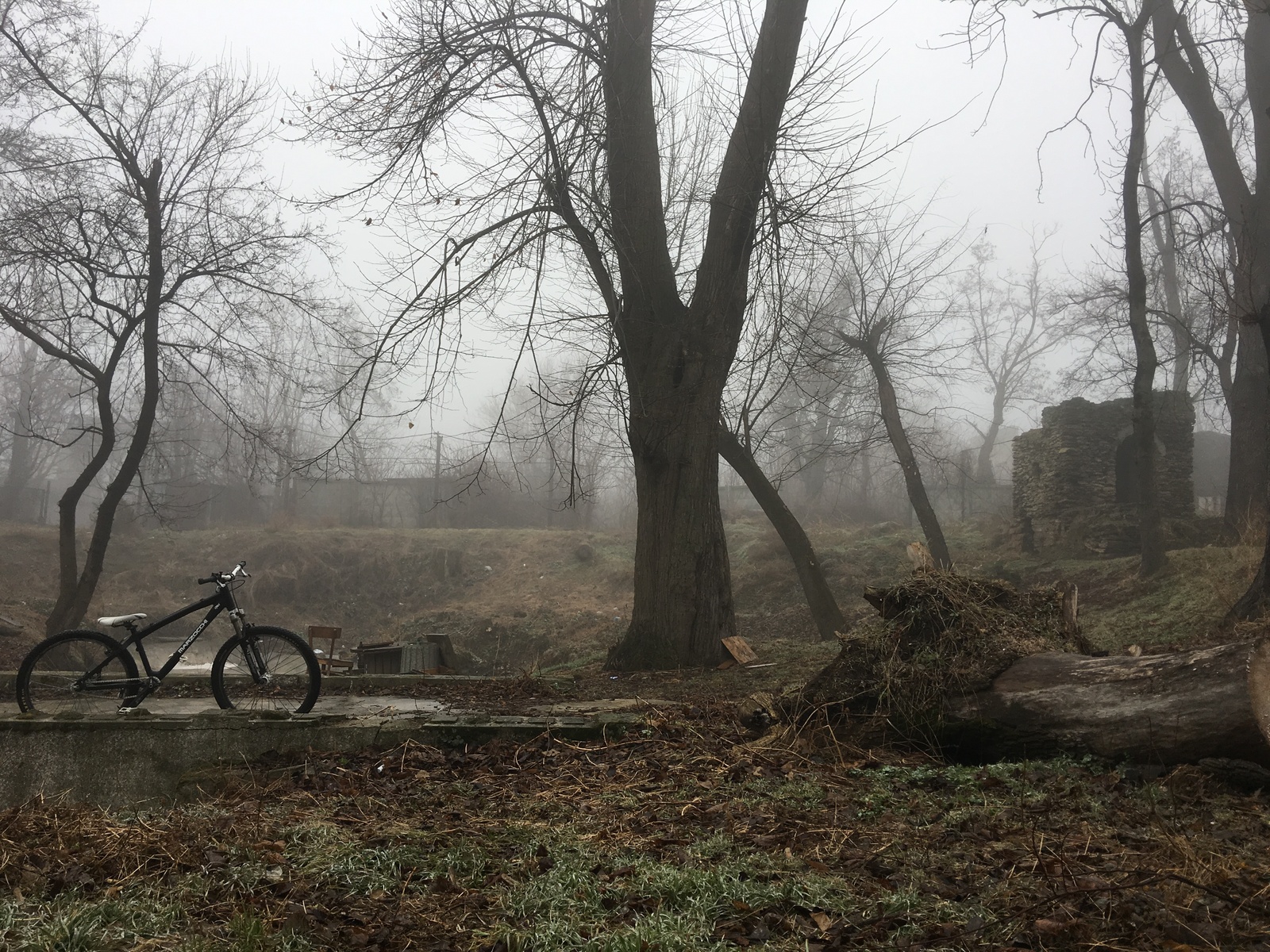 friend, comrade, brother - My, A bike, Fog, , The photo