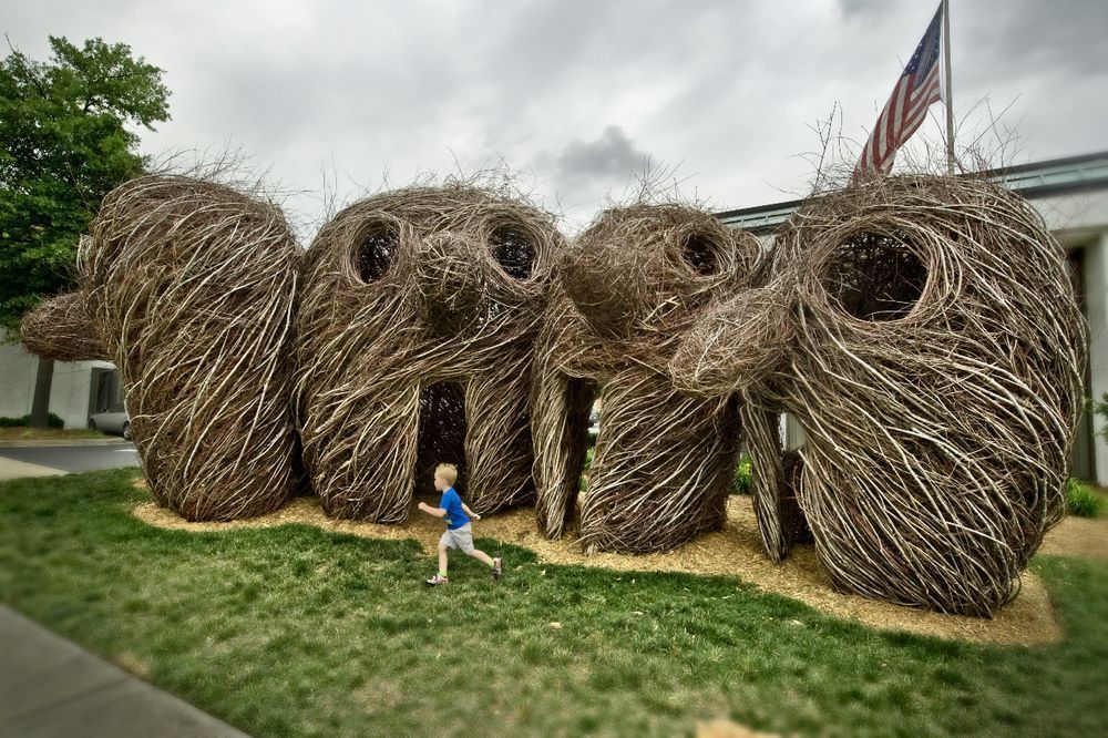 Nests. - Sculpture, Branch, Creation, Idea, Art, Zanamiclub, Longpost