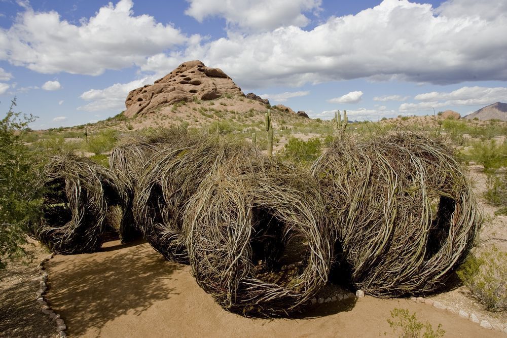 Nests. - Sculpture, Branch, Creation, Idea, Art, Zanamiclub, Longpost