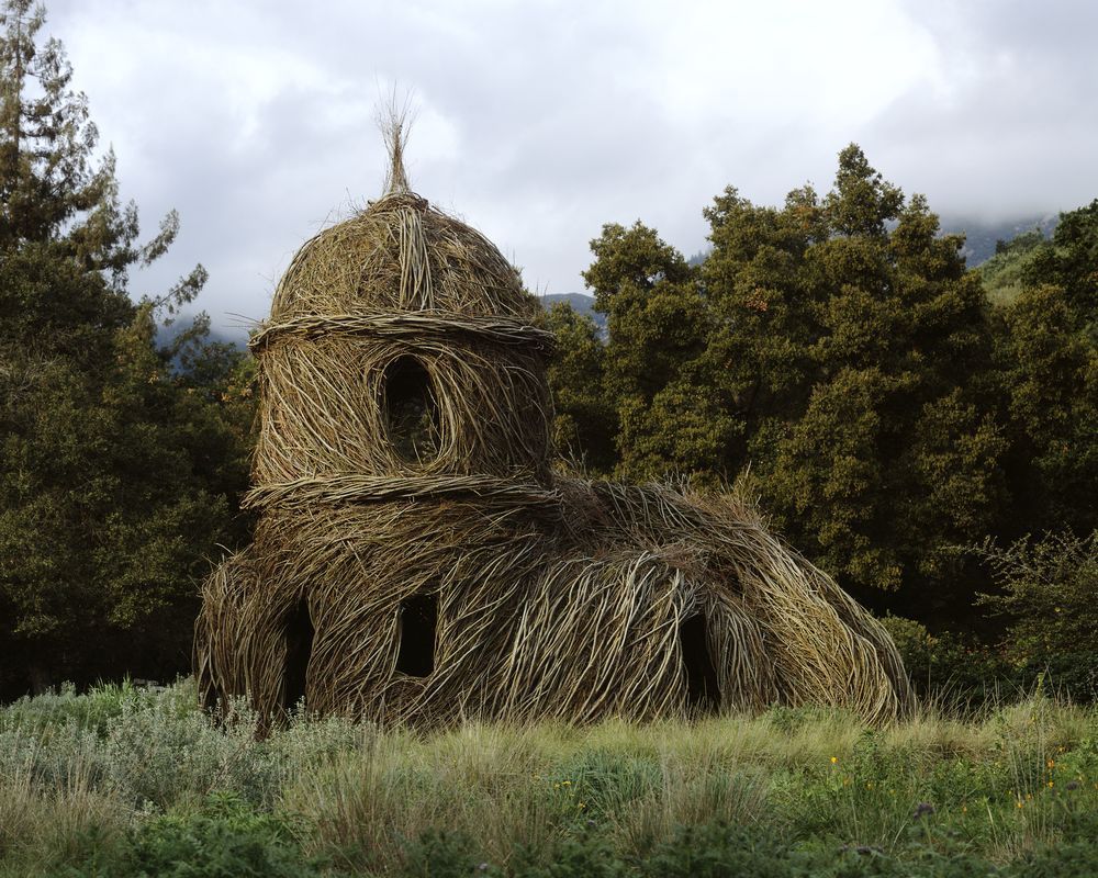 Nests. - Sculpture, Branch, Creation, Idea, Art, Zanamiclub, Longpost