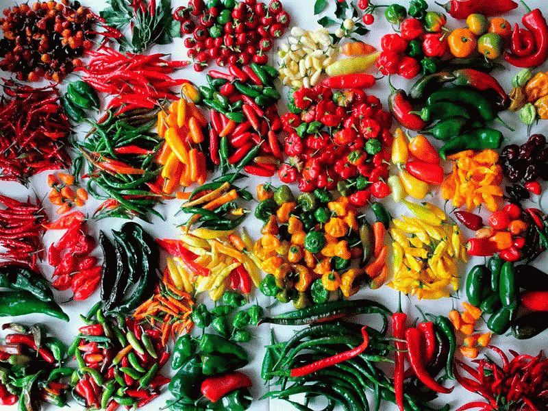 Hot varieties of red pepper - My, Cooking, Spices, Food, Hot red pepper, Causticity, Longpost, Hot peppers