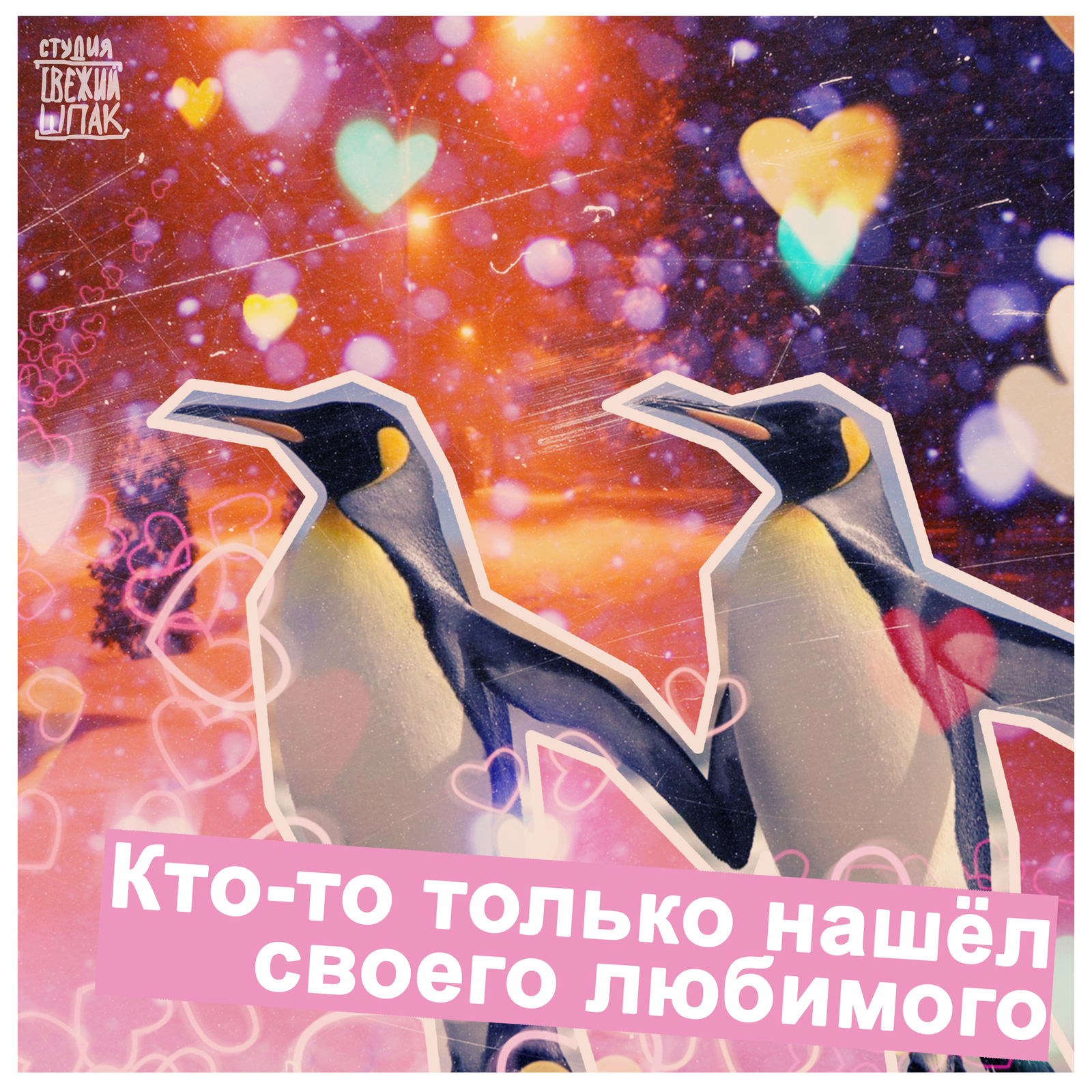 Someone loves... - Penguins, Rainbow, , Love, People, Joy, Positive, Longpost