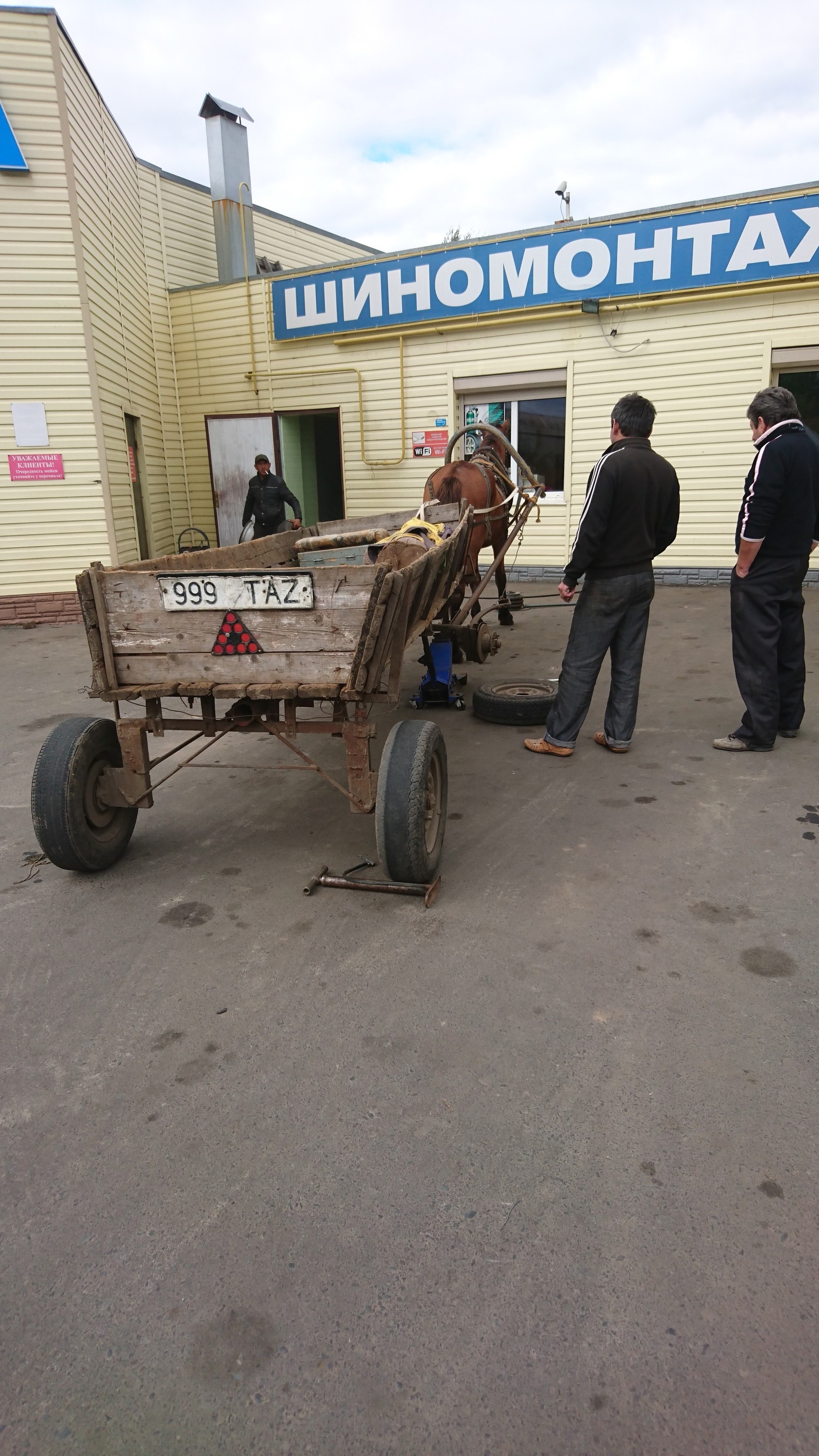 Scheduled maintenance - My, Tire service, Horses, Inspection