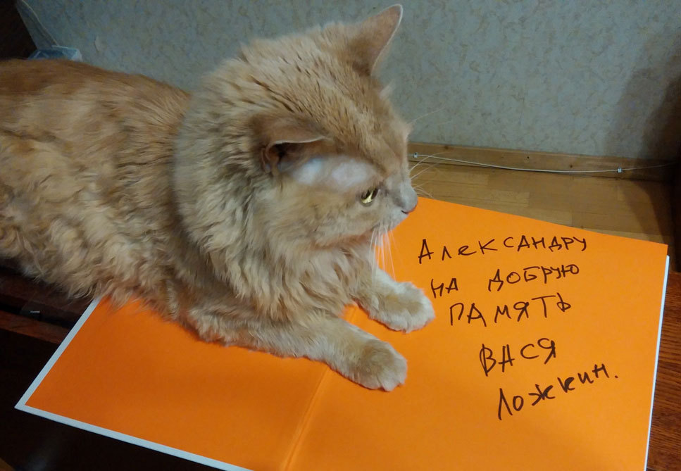 Autograph of Vasya Lozhkin - My, Vasya Lozhkin, cat, Longpost