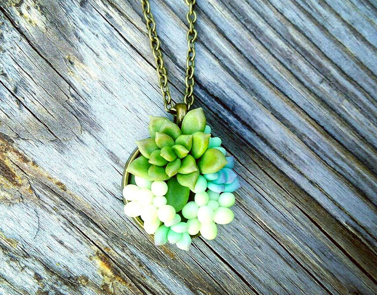 Succulents and flowers in decorations - My, Polymer clay, Cold porcelain, Needlework, Decoration, Suspension, Succulents, Handmade, Longpost