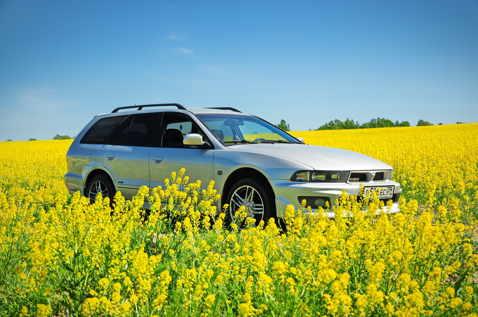 Blooming rapeseed and favorite car :) - The photo, Colza, rapeseed field, , Longpost