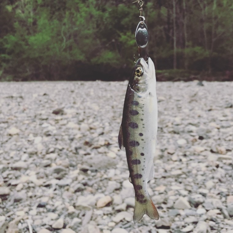 Fishing in Primorsky Krai. Mountain rivers of the South of Primorye. - My, Primorsky Krai, Fishing, Mountain river, Ultralight, Longpost