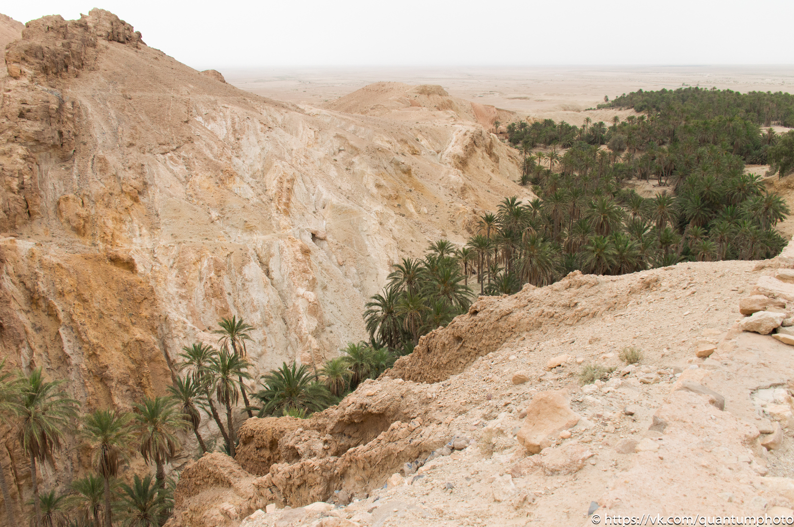 Desert - My, Desert, Sahara, Tunisia, The photo, Oasis, Sunset, Sand, Nikon, Longpost