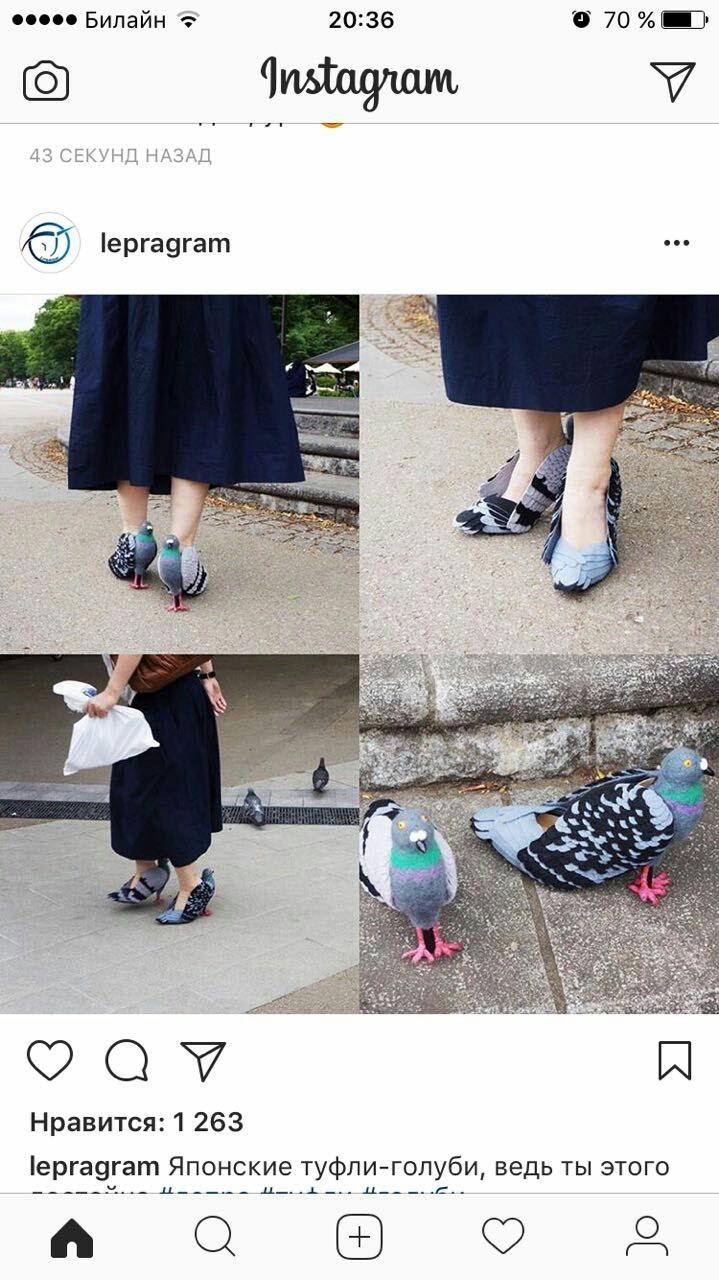 kurly kurly - Fashion what are you doing, Pigeon