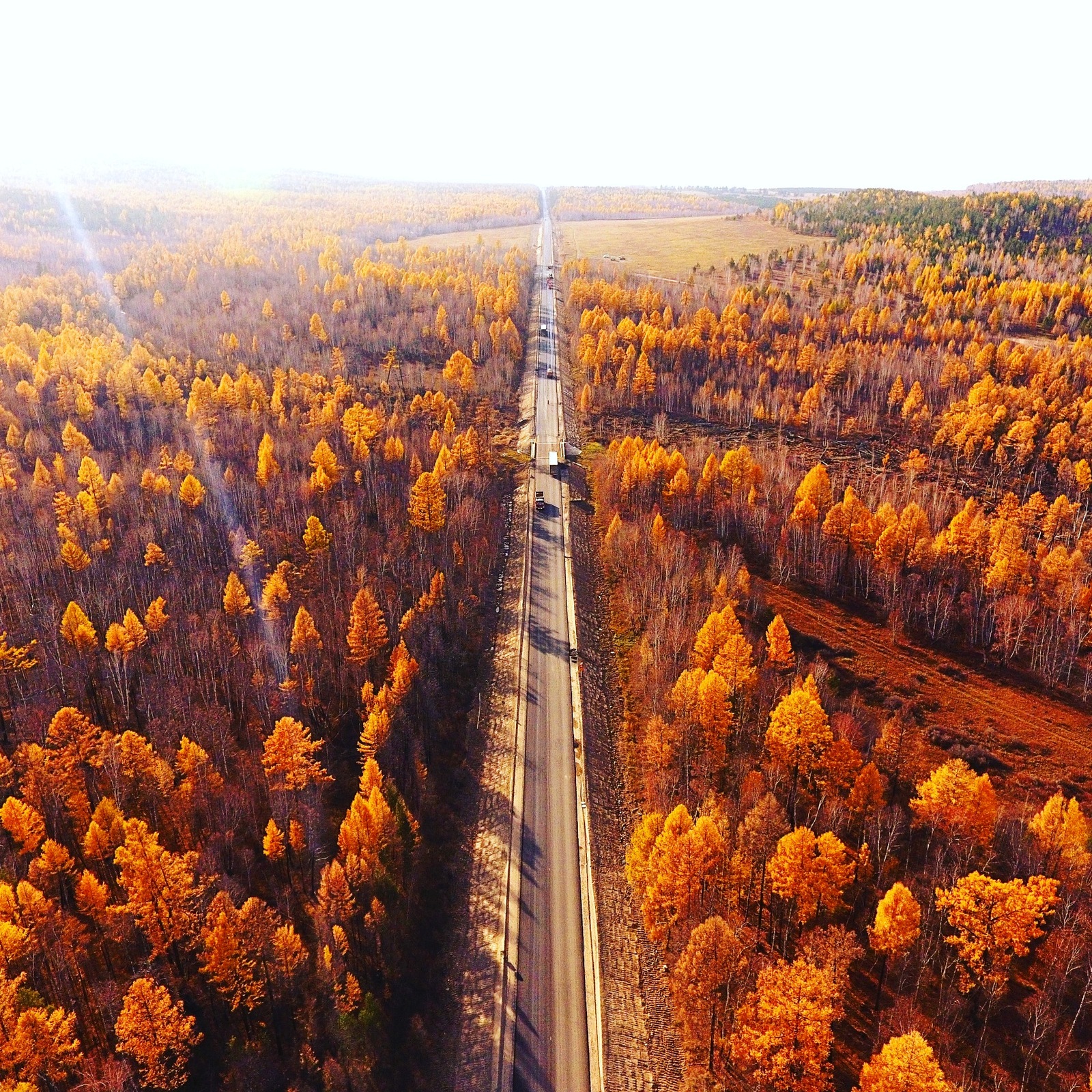 Autumn in Transbaikalia - The photo, Nature, Forest, Track