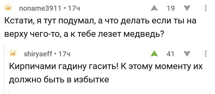 Комментарии - Комментарии на Пикабу, Скриншот, Картинка с текстом, Медведи, Что делать