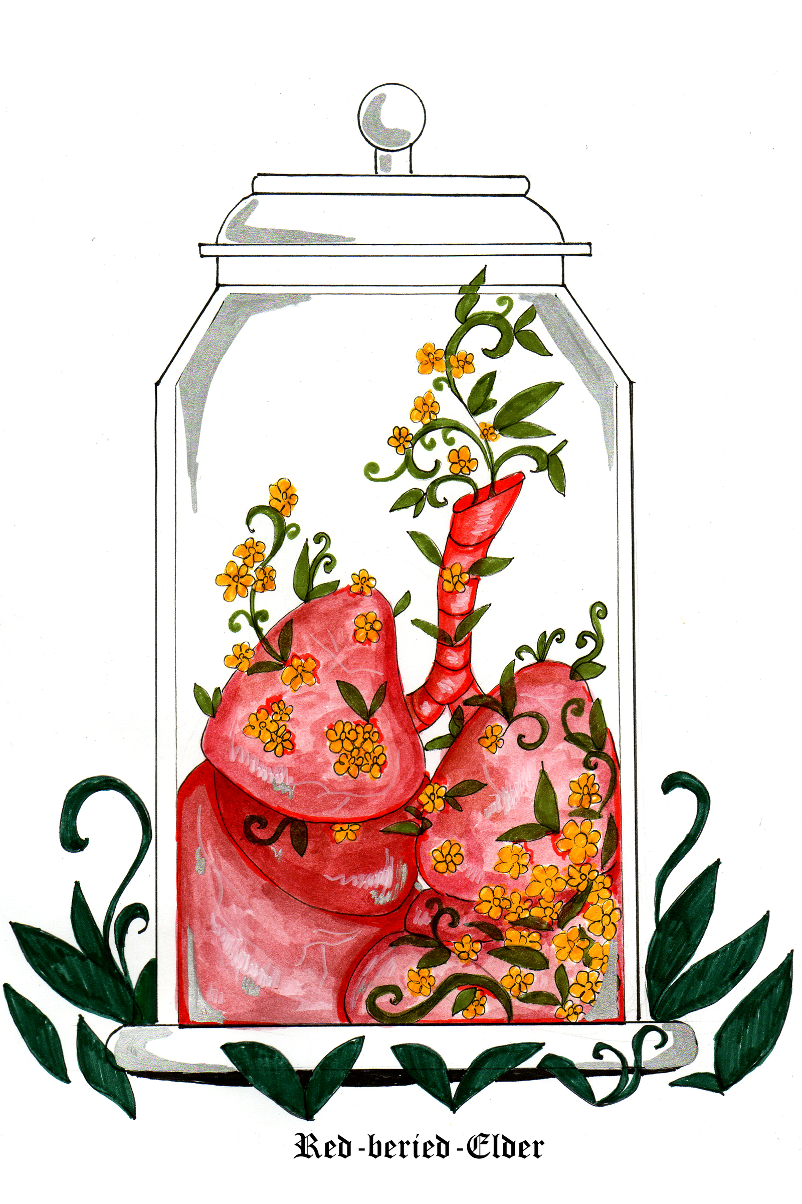 jars - My, Watercolor, Art, Longpost