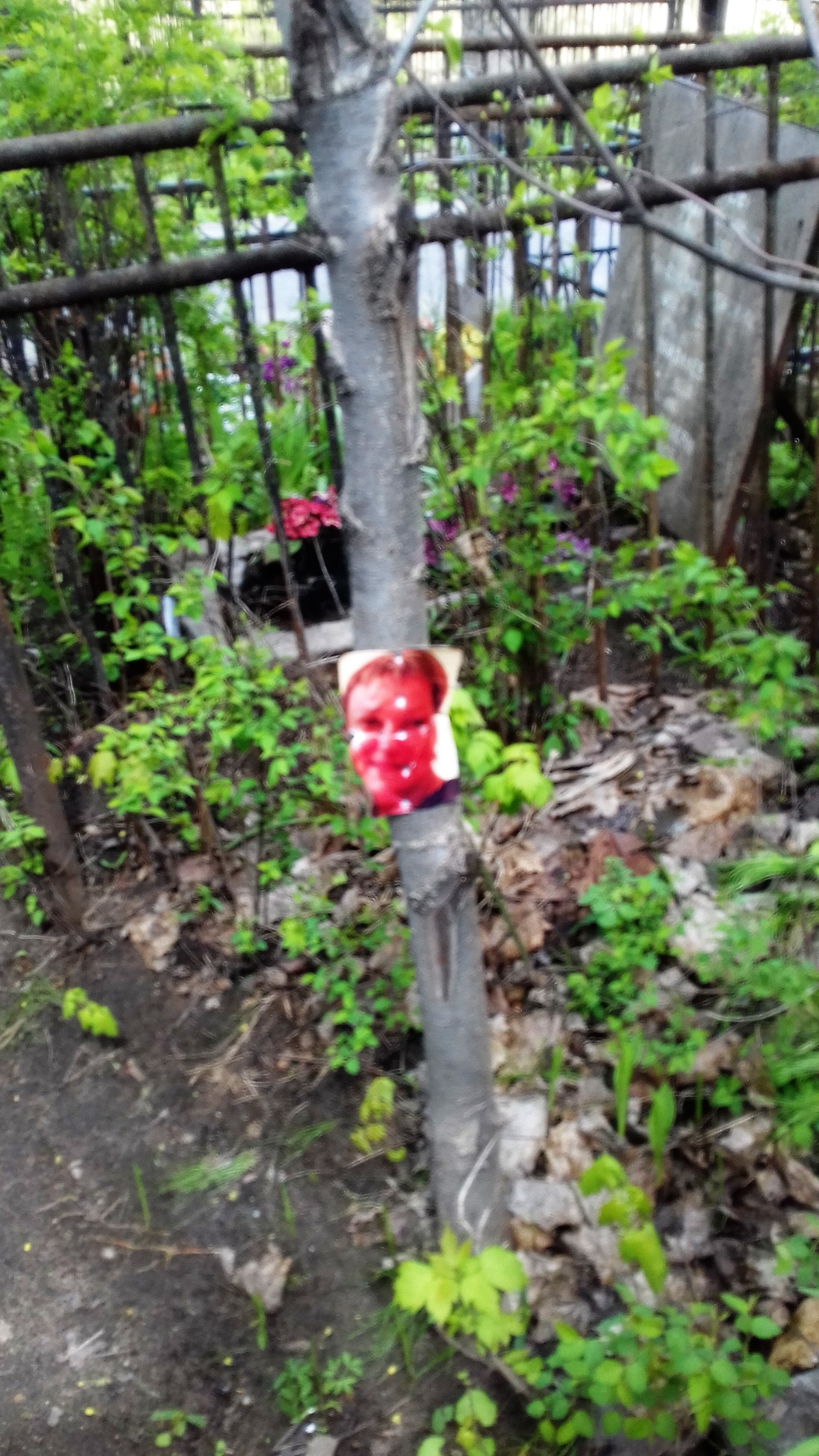 Cemetery Vagankovsky. Moscow. May 12, 2017. - My, Moscow, Cemetery Vagankovsky, May, Notes of a crazy woman, , Longpost