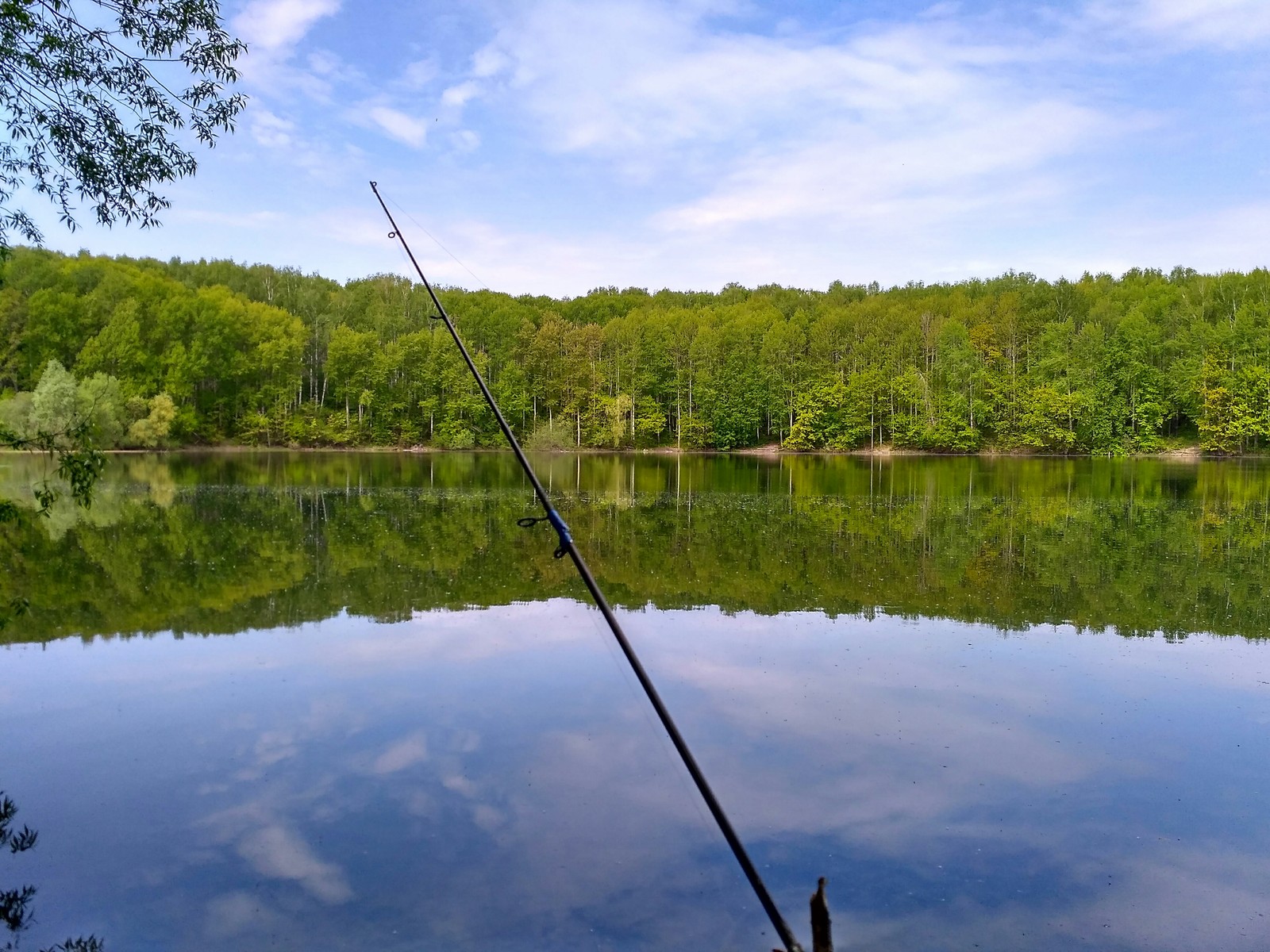 Took a bloodworm and went to the pond - My, Fishing, Relaxation, Work