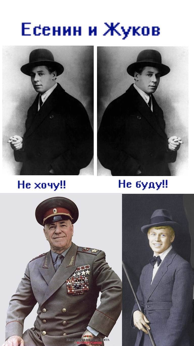 Соционика жуков фото