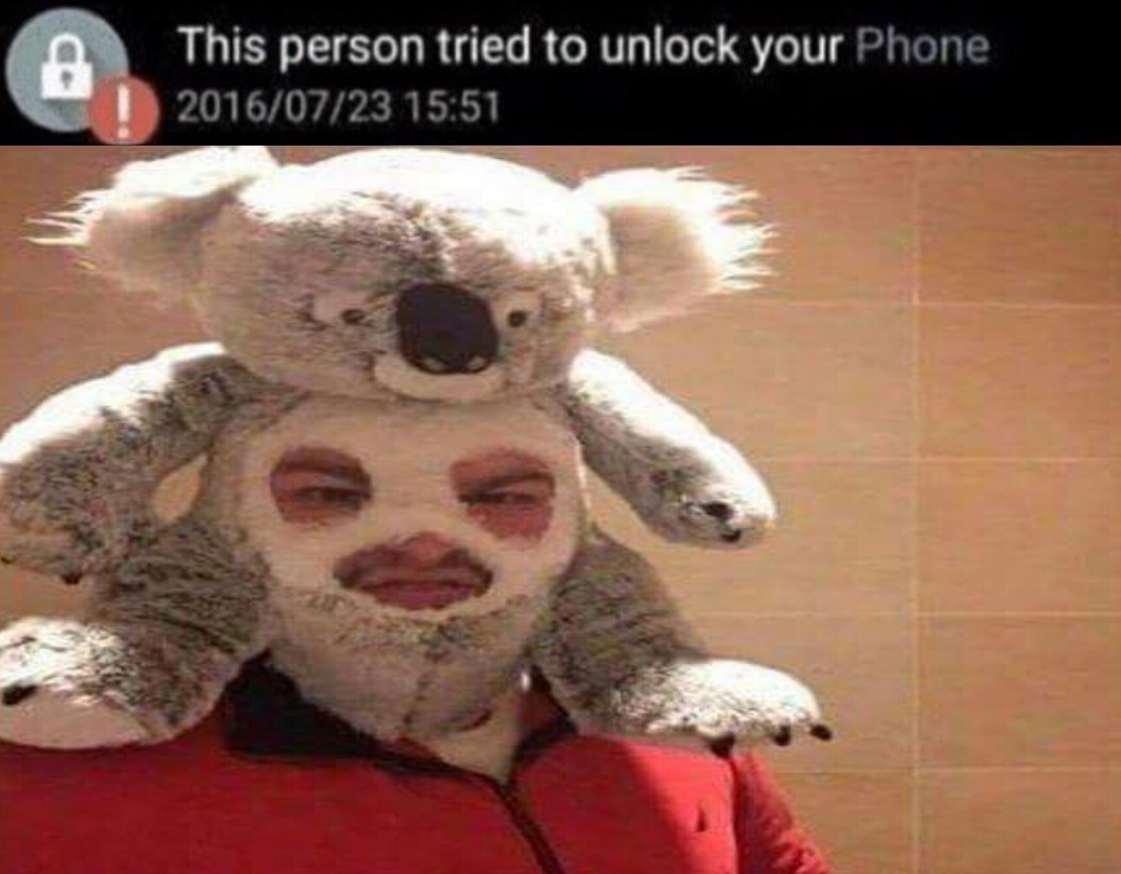 This person tried to unlock your phone - Reddit, The photo, Mask, Koala