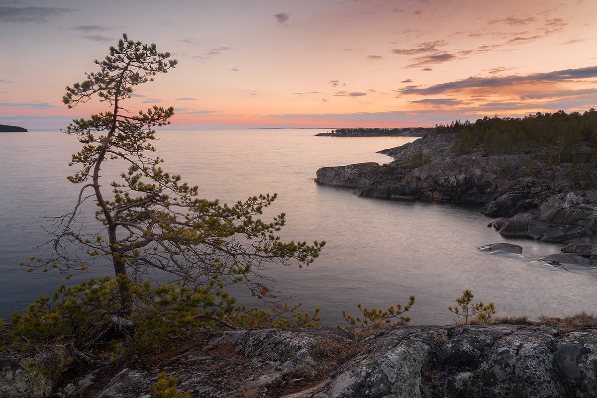 Northern shore of Lake Ladoga - The photo, Nature, Landscape, Gotta go, Summer, Russia, , Longpost