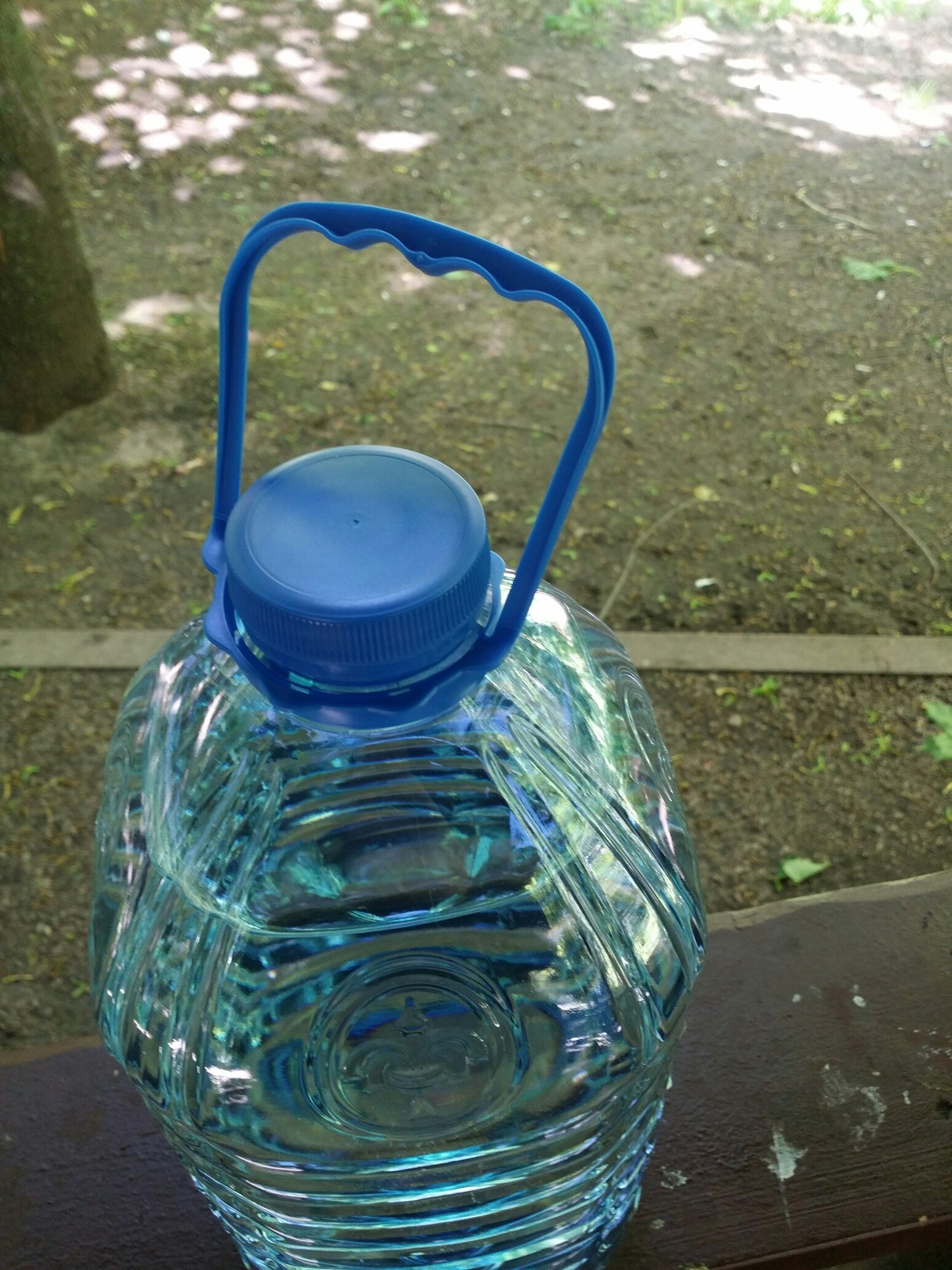 фото лесные колокольчики в бутылках с водой
