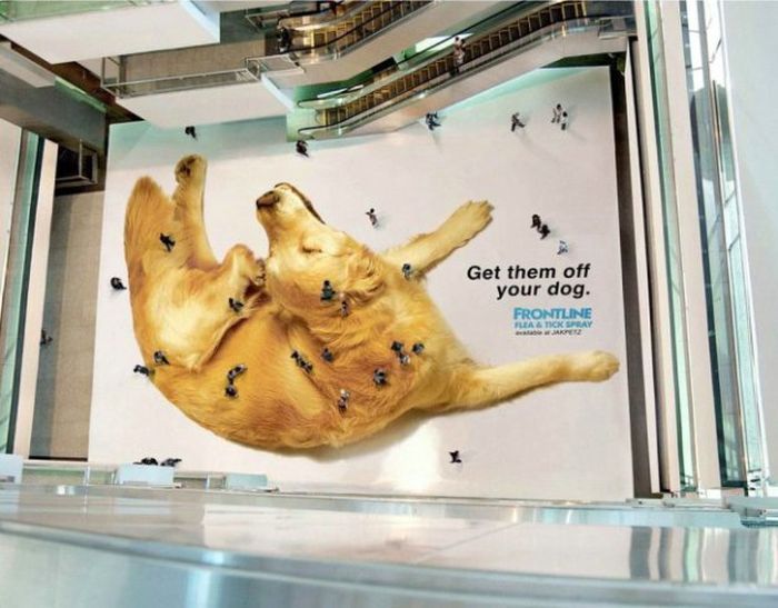 Creative advertising that can not be forgotten - Advertising, Creative advertising, From the network, Not mine, Longpost