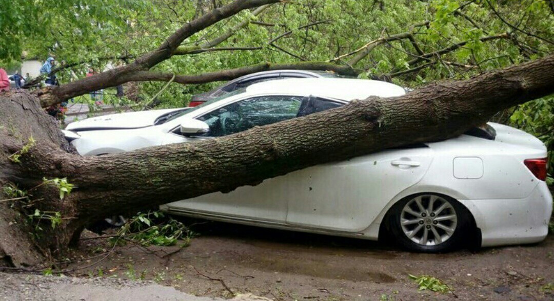 Today's hurricane in Mytishchi - The photo, Thunderstorm, Hurricane, Weather, Longpost