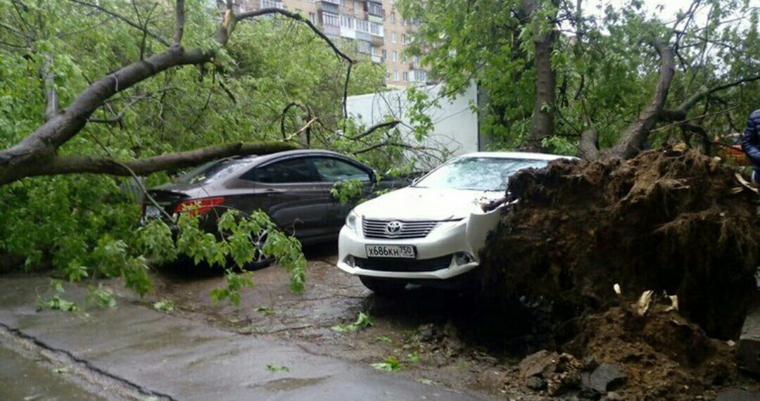 Today's hurricane in Mytishchi - The photo, Thunderstorm, Hurricane, Weather, Longpost