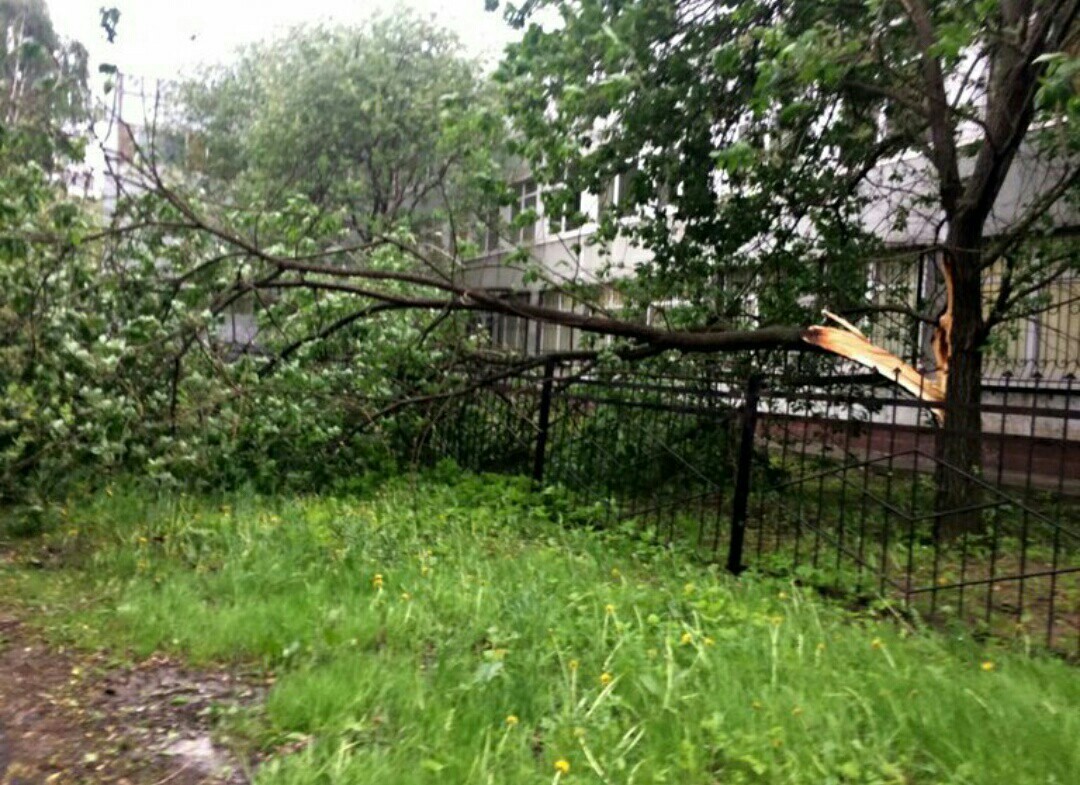 Today's hurricane in Mytishchi - The photo, Thunderstorm, Hurricane, Weather, Longpost