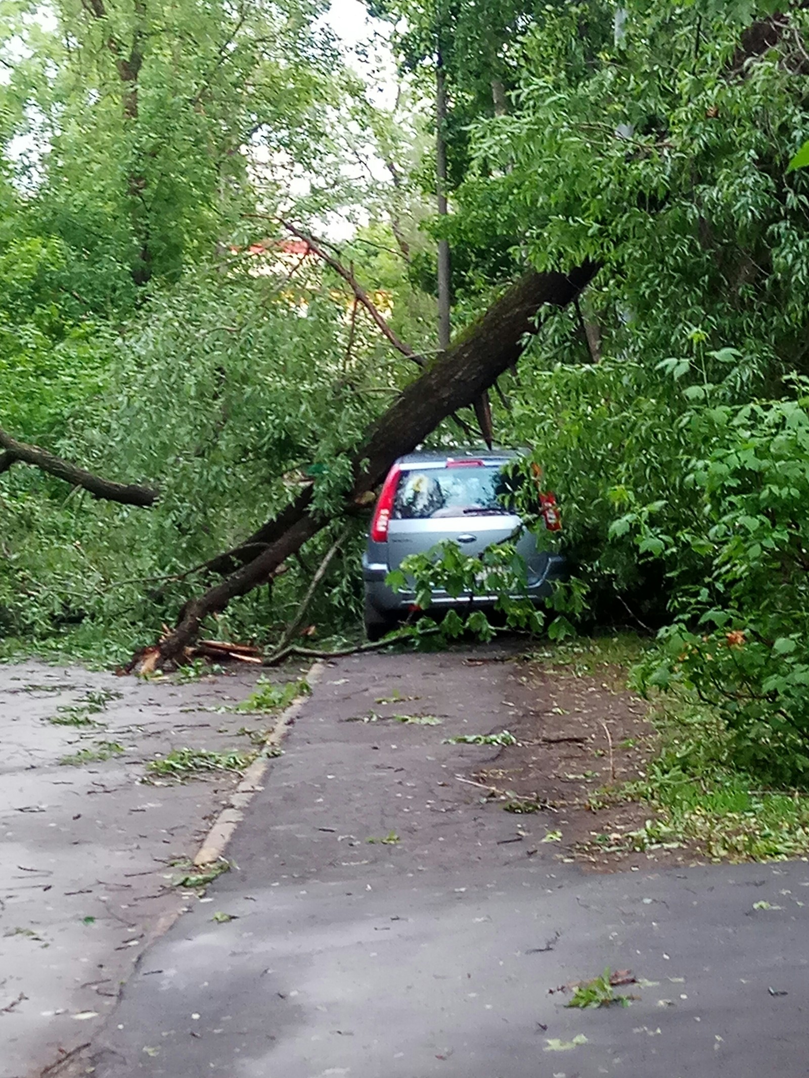 Consequences of bad weather in Moscow - My, Hurricane, Nature, Longpost