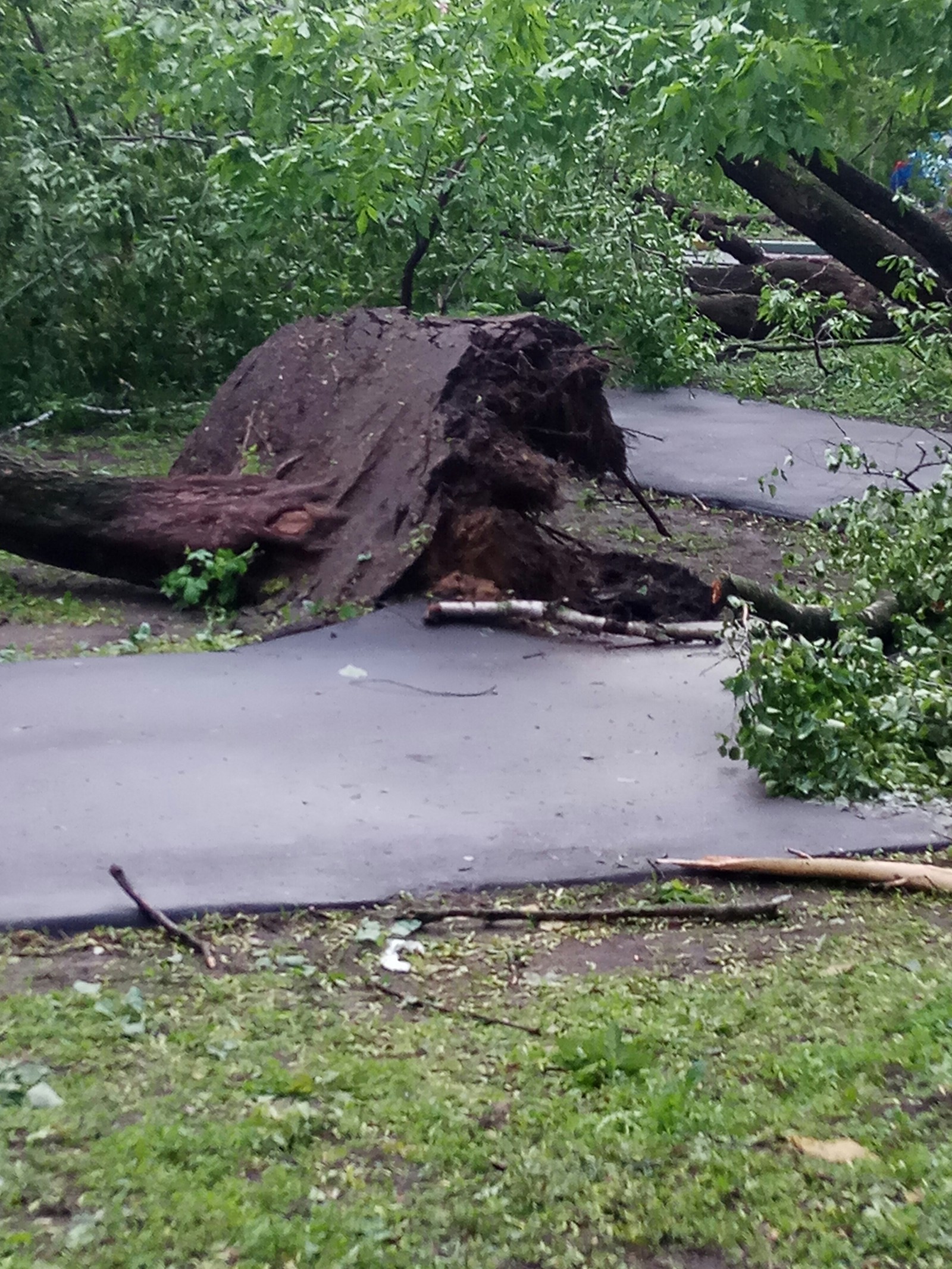 Consequences of bad weather in Moscow - My, Hurricane, Nature, Longpost