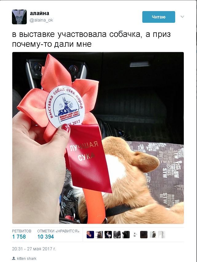 Exhibition and Prize. - Twitter, Exhibition, Dog, Prize