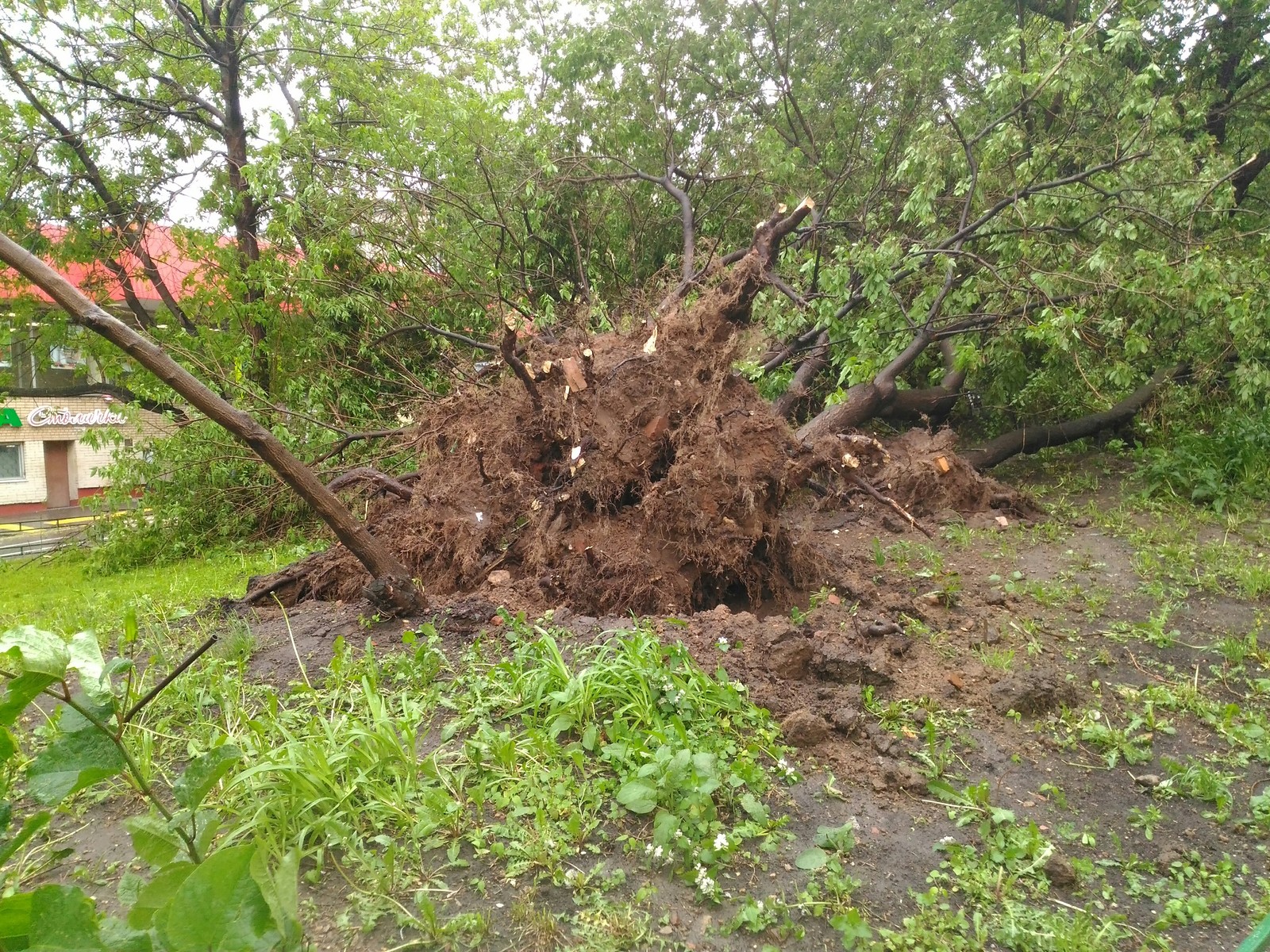 Thunderstorm 05/29/17 - My, Storm, Taganka, The photo, Longpost