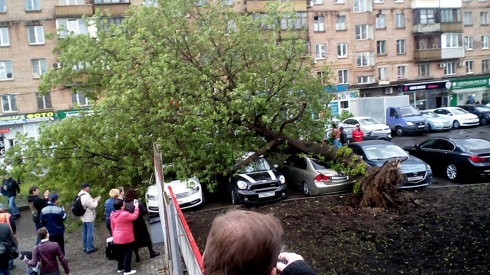 Ветер подул | Пикабу