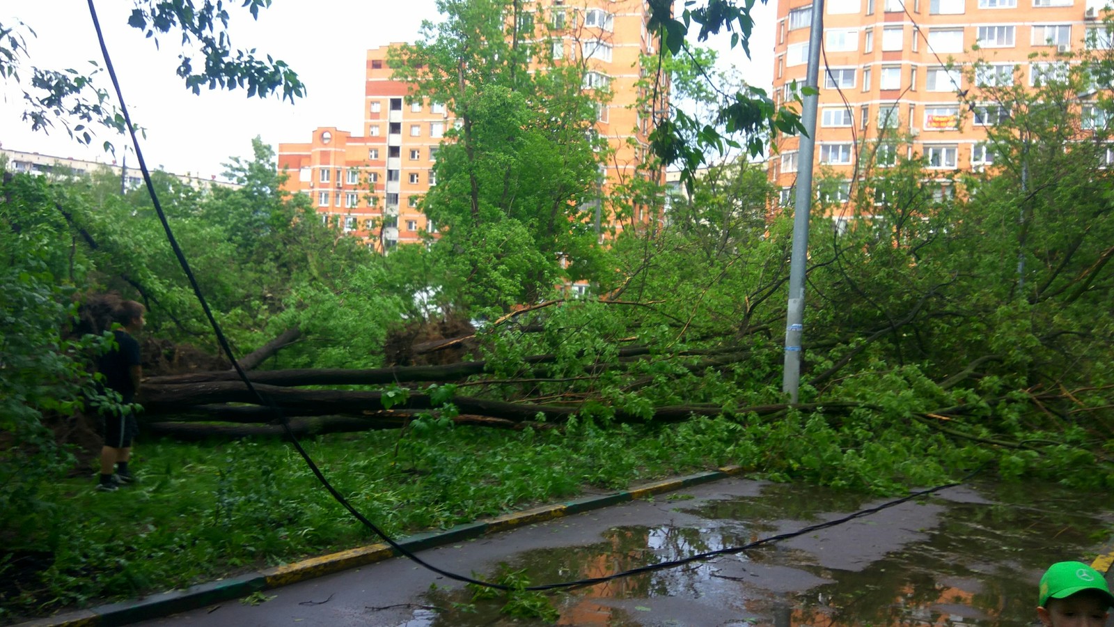 Moscow. - My, Longpost, Moscow, Hurricane, Storm, The photo