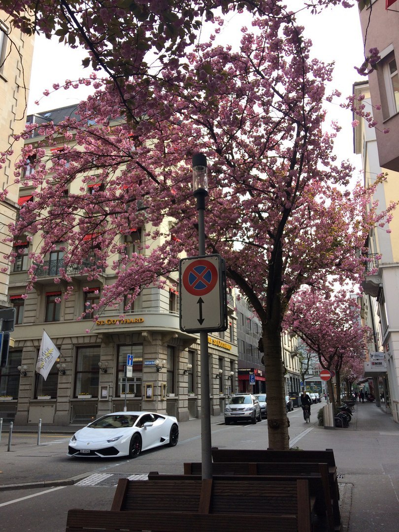 May in Switzerland - My, Switzerland, Retro car, Nature, beauty, Motorists, Europe, Longpost