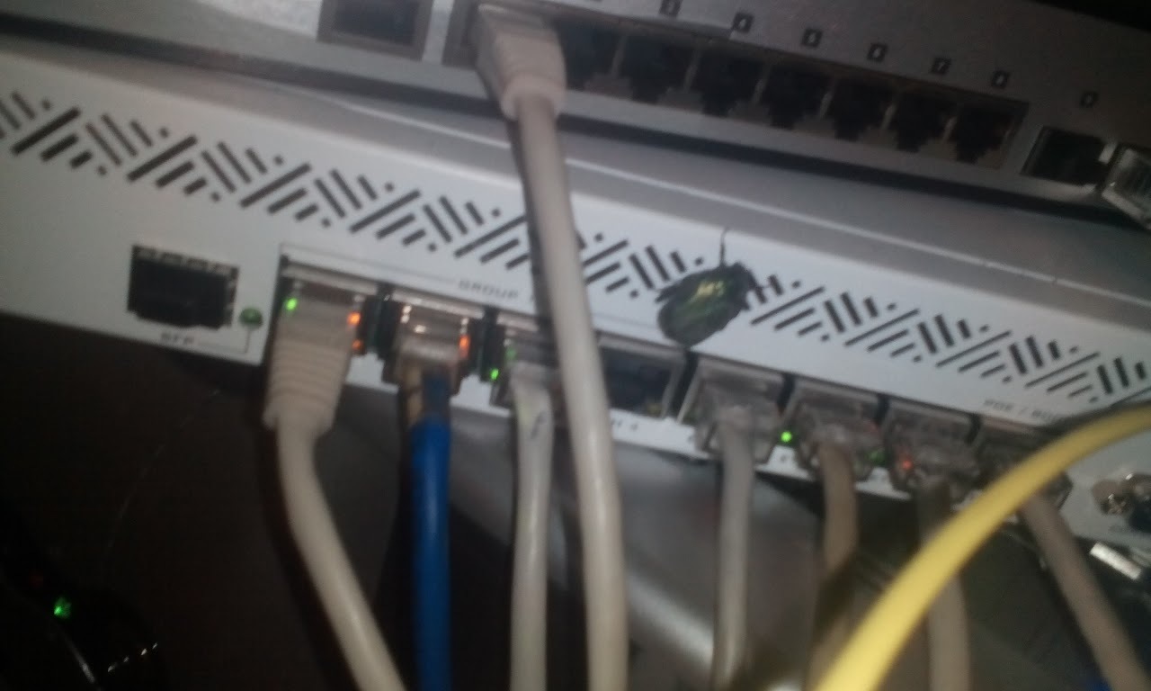 I go into the server room, and there is a new sysadmin. - My, Sysadmin, Server, Bug, Work