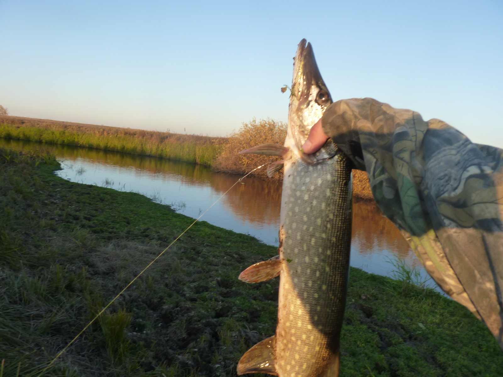 Fishing in Astrakhan (October 2012) - My, Fishing, Spinning, Hunting and fishing, Relaxation, Longpost