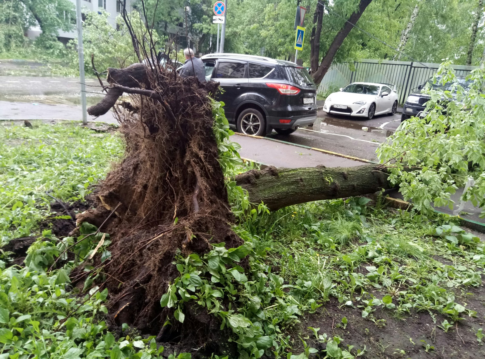 Последствия шторма в Москве - Моё, Шторм, Ураган, Москва, Природа, Стихия, Закат, Sunset, Длиннопост