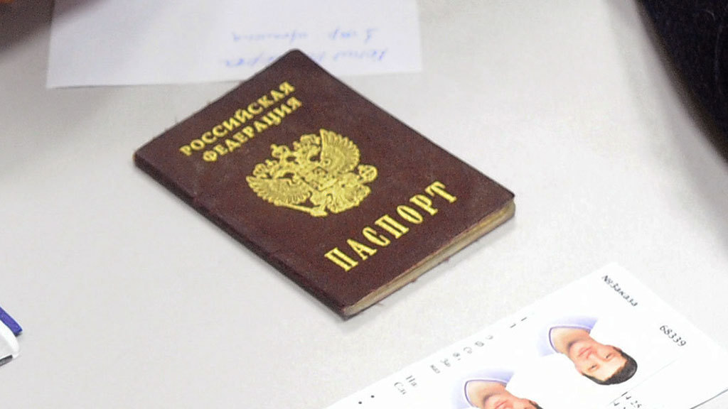 What you didn't know about your passport. Facts from the folder. - Conspiracy, Теория заговора, The passport, Folder, Longpost, Reptilians, Russia, Text