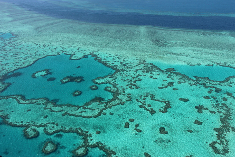 Nearly a third of the Great Barrier Reef's corals died in 2016 - news, A fish, Nature, Global warming, Longpost, Biology, The science