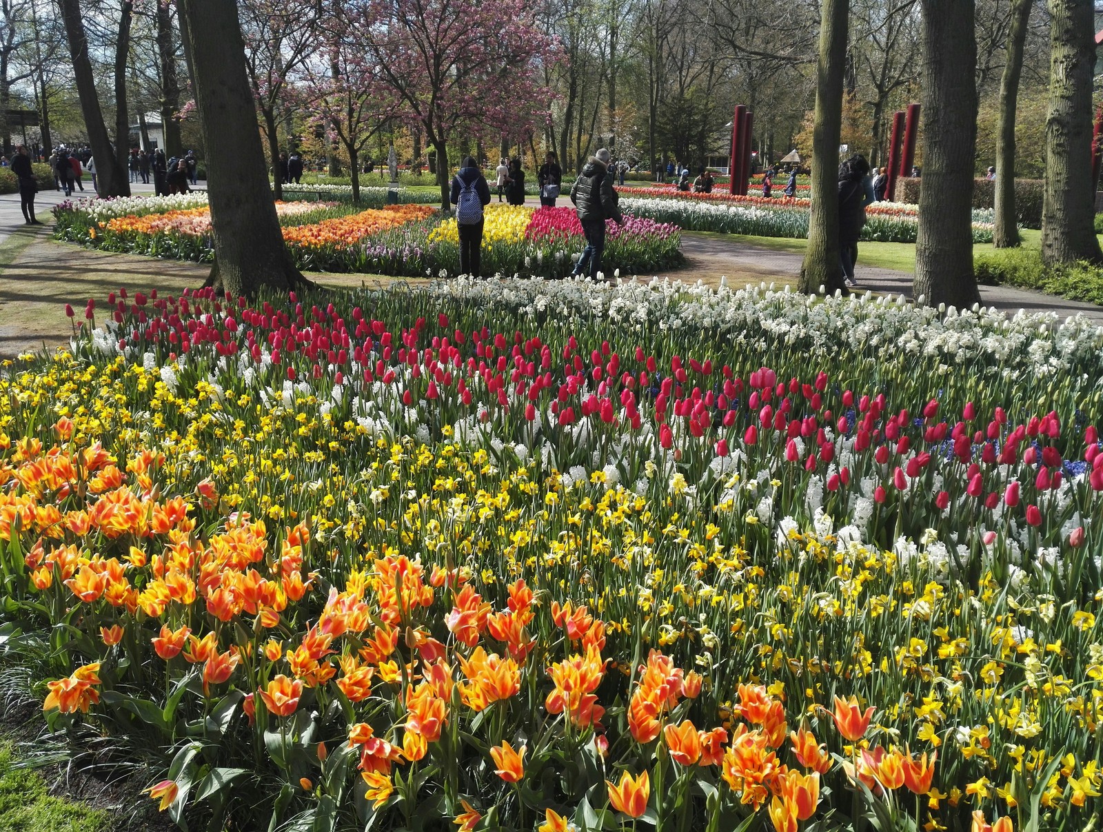 Flower Park Holland 2017 - My, The park, Holland, Longpost, Netherlands (Holland)