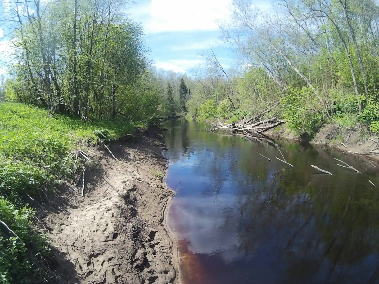 Мга вода. Река Войтоловка Ленинградская область. Речка Мга Ленинградская область. Рыбалка на реке Мга Ленинградской области. Лен обл. Река Мга.