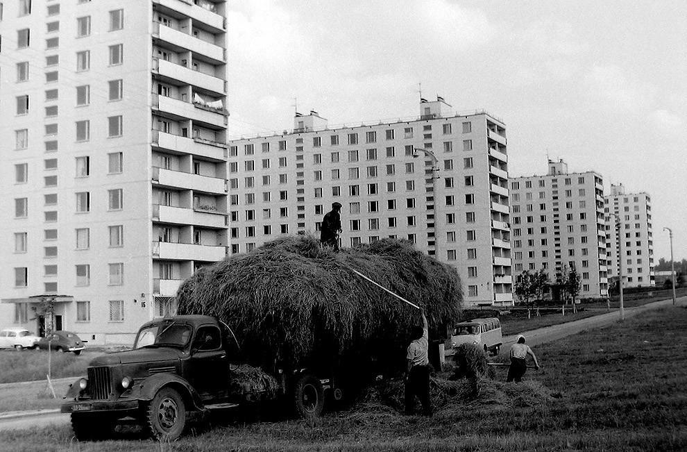 Интересные и редкие ретро-фотографии #6 - Ретро, Фотография, Прошлое, 20 век, Интересное, Подборка, История, Длиннопост