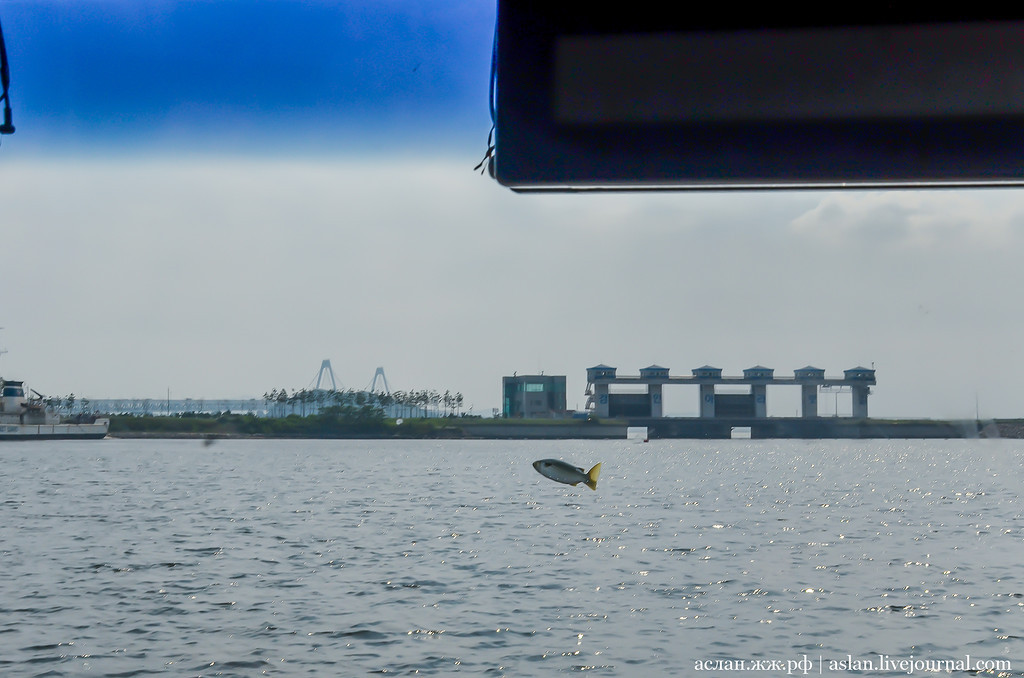 How I fell into the river on the bus. - My, South Korea, Travels, Asia, Longpost