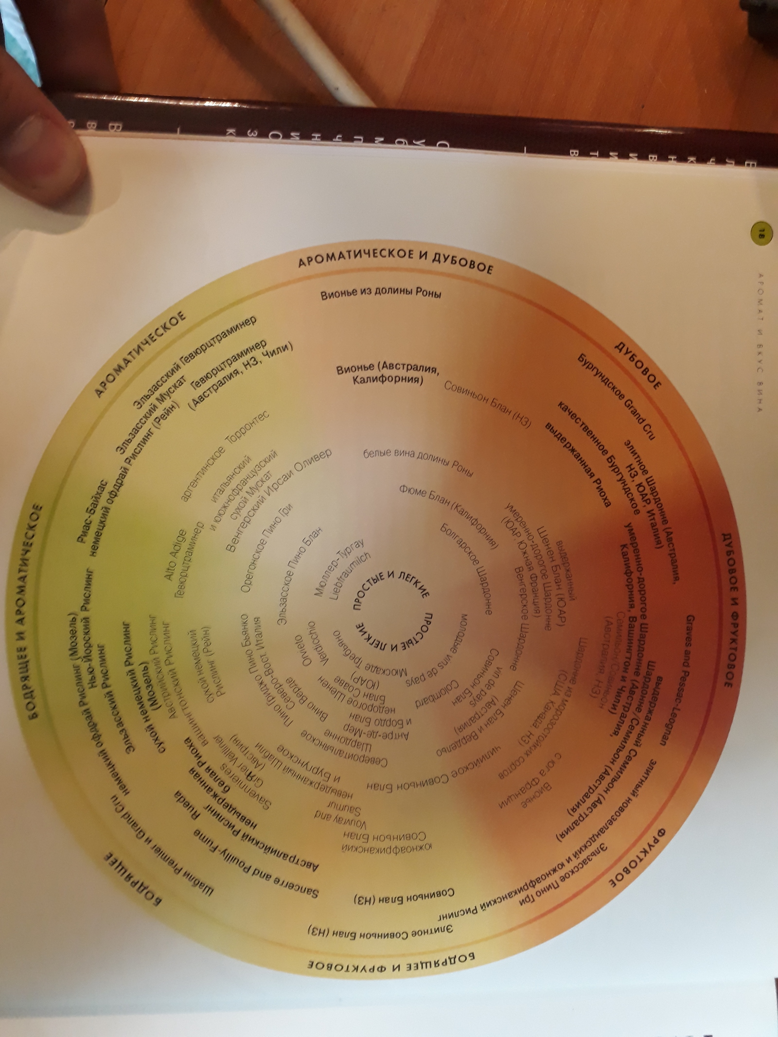 Vineholic's notes or how to choose your wine?! - My, Wine, Grape, Red wine, White wine, Champagne, 18+, Longpost