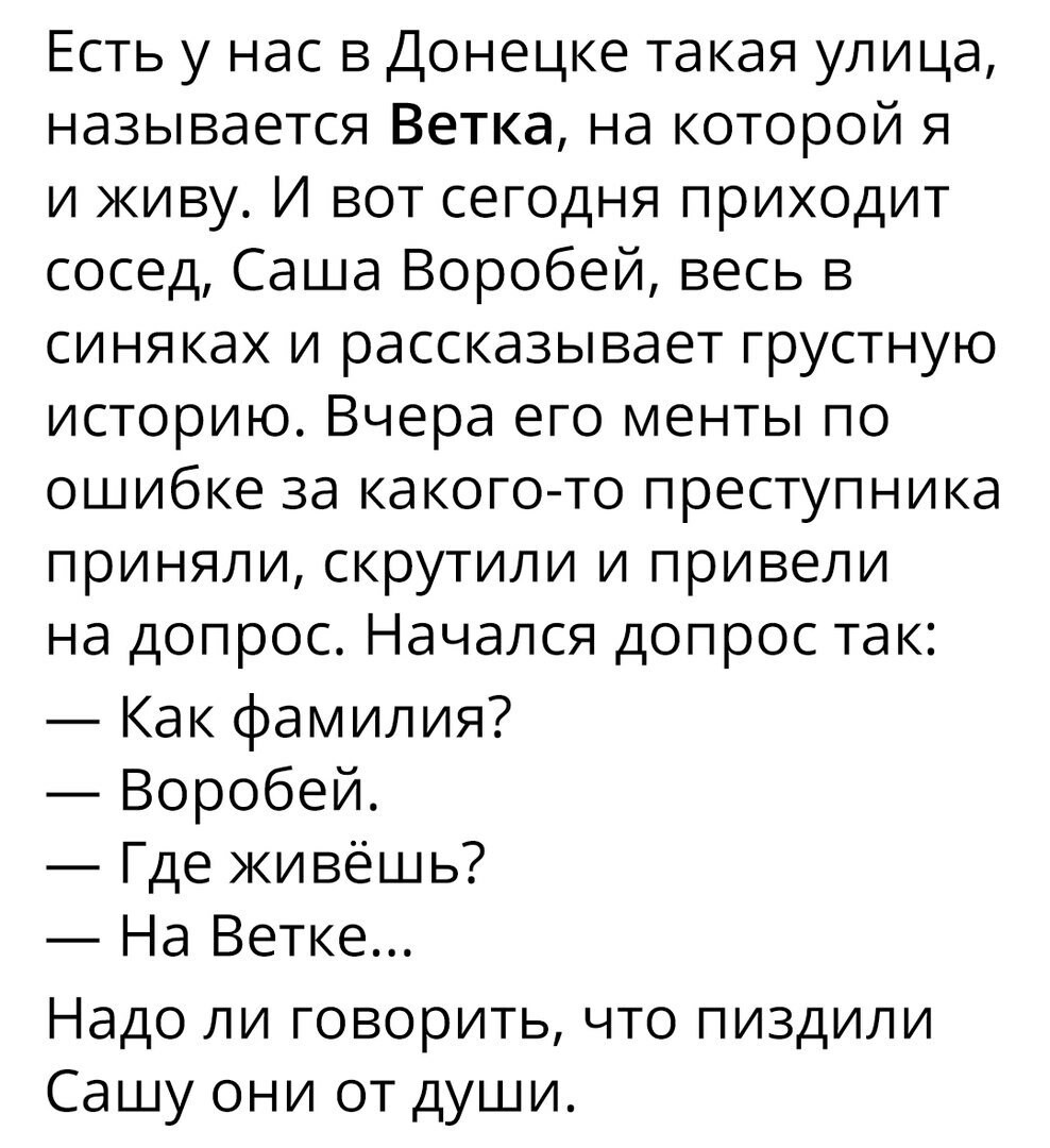 Воробей на Ветке - Воробей, Ветка, Недосказанность