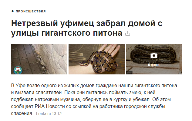 And so many more questions... - news, Python, Alcohol, Ufa