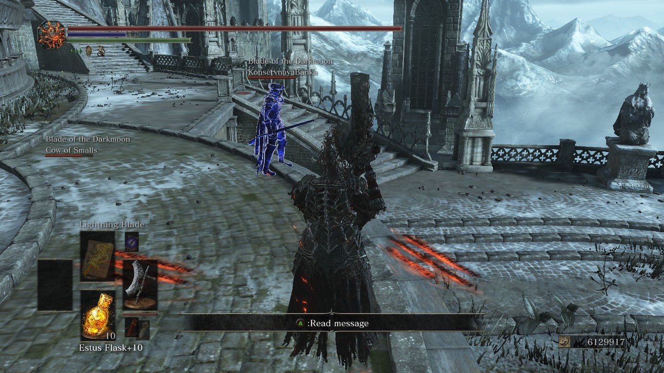 Such different intruders in Dark Souls 3 - My, Computer games, Dark souls, Dark souls 3, PVP, , A bit of a look, Longpost