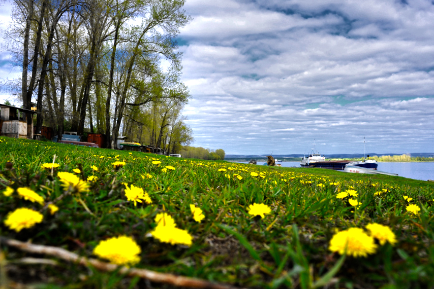 Ray Bradbury (Dendelion Vine) - My, The photo, , Landscape, Dandelion, River, Sky