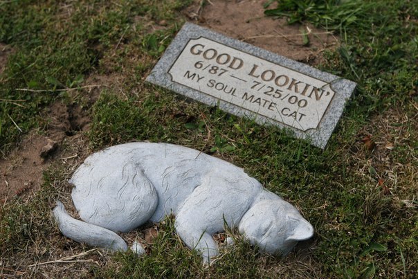 Headstone for a pet. - cat, Grave, Headstone